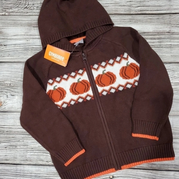 Gymboree Fall Harvest Pumpkin Sweater - Picture 8 of 8